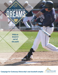 DOWNLOAD OUR DIAMOND OF DREAMS PORTFOLIO